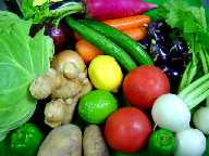 新鮮野菜を使用しています