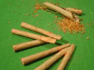 ビディの中身を出したところ